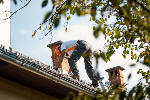 Best Storm Damage Roof Repair  in Galva, IL